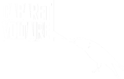 Cabaret Voltaire Profile